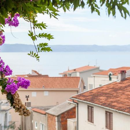 Apartments Leut 80M From The Sea Podgora Dış mekan fotoğraf