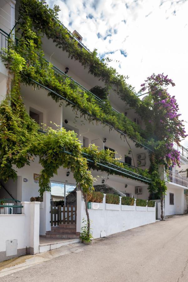 Apartments Leut 80M From The Sea Podgora Dış mekan fotoğraf