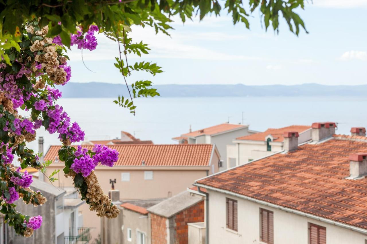 Apartments Leut 80M From The Sea Podgora Dış mekan fotoğraf